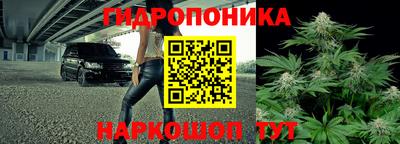 хмурый Гатчина